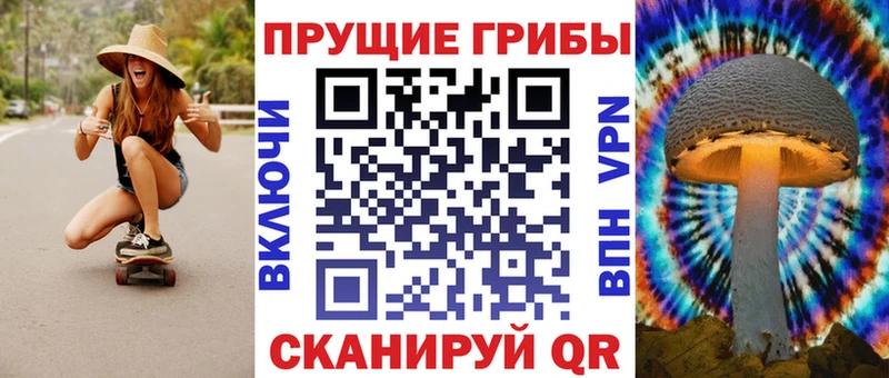 Галлюциногенные грибы GOLDEN TEACHER  купить закладку  площадка официальный сайт  Каменка 