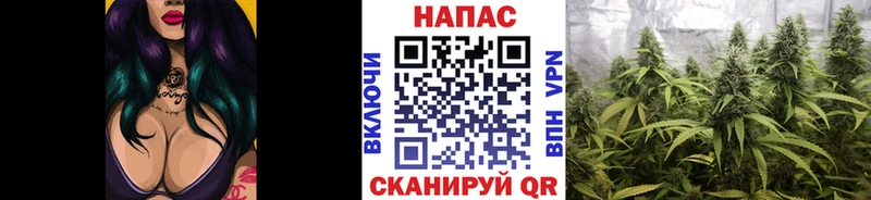 hydra маркетплейс  маркетплейс какой сайт  МАРИХУАНА семена  Каменка 